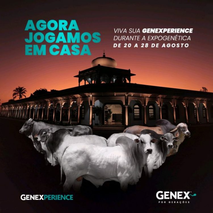 GENEXPERIENCE – AGORA JOGAMOS EM CASA!