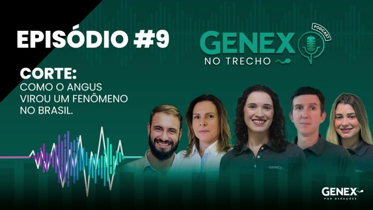 EPISÓDIO #9 | CORTE - COMO O ANGUS VIROU UM FENÔMENO NO BRASIL