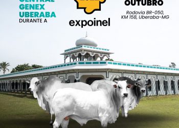 EXPOINEL