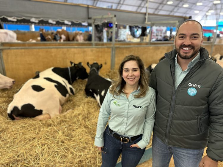 GENEX apresenta touros com recomendação genética para uso em sistema robotizado