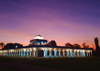 GENEX lança programa de acompanhamento técnico, divulga novos touros com destaque para fertilidade e apresenta condições competitivas para a Temporada 2023