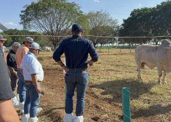 GENEX recebe delegações internacionais e avança no mercado externo
