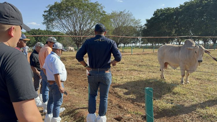 GENEX recebe delegações internacionais e avança no mercado externo