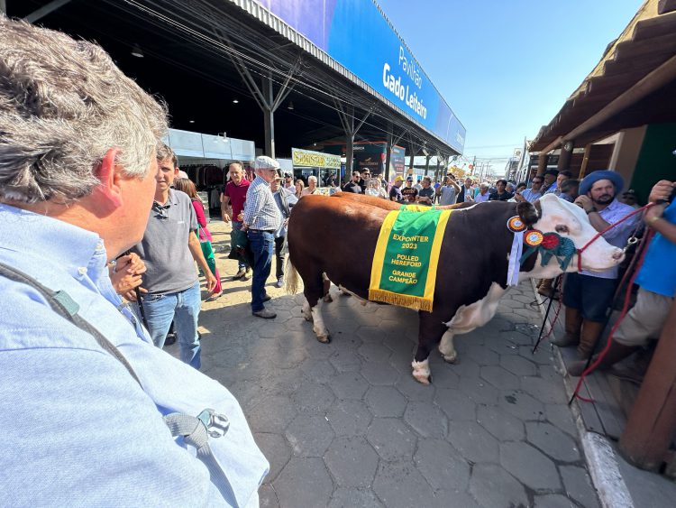 Seleção genética brasileira passa pelo crivo de experts norte-americanos