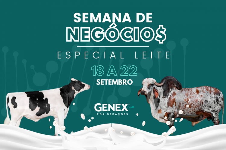 GENEX promove Semana de Negócios de genética leiteira