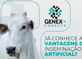 VOCÊ CONHECE AS VANTAGENS DA INSEMINAÇÃO ARTIFICIAL?