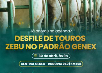 GENEX Brasil promove desfile de animais durante a 89ª EXPOZEBU