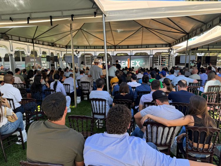 GENEX Brasil promove desfile de animais durante a 89ª EXPOZEBU