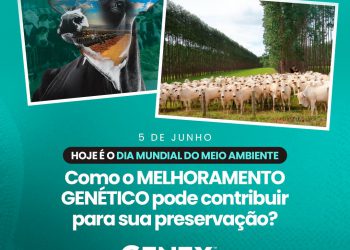 Dia Mundial do Meio Ambiente – Como o MELHORAMENTO GENÉTICO pode contribuir para sua preservação?