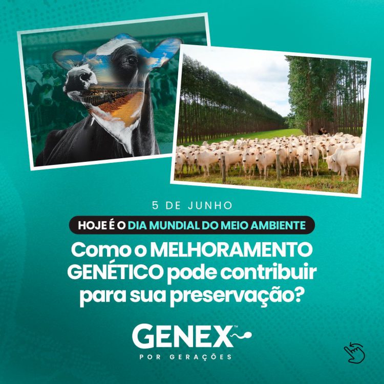 Dia Mundial do Meio Ambiente – Como o MELHORAMENTO GENÉTICO pode contribuir para sua preservação?