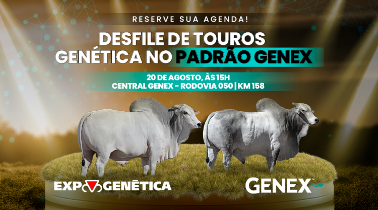GENÉTICA NO PADRÃO GENEX É DESTAQUE NA EXPOGENÉTICA