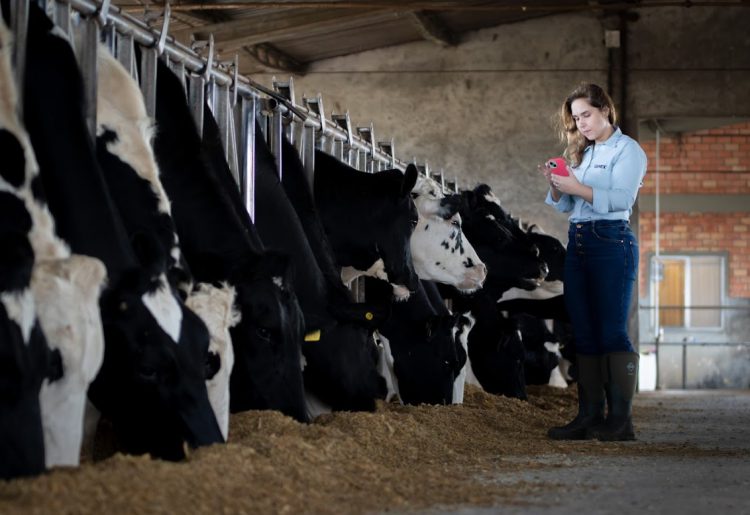 INÉDITO: GENEX Brasil é a primeira empresa do segmento a lançar plataforma de Melhoramento Genético por Inteligência Artificial