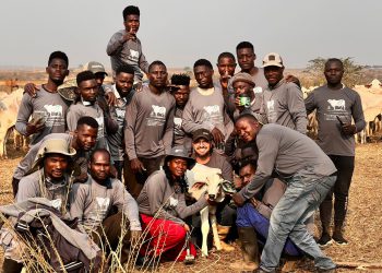 GENEX Conecta chega à Angola com visão 360º da pecuária