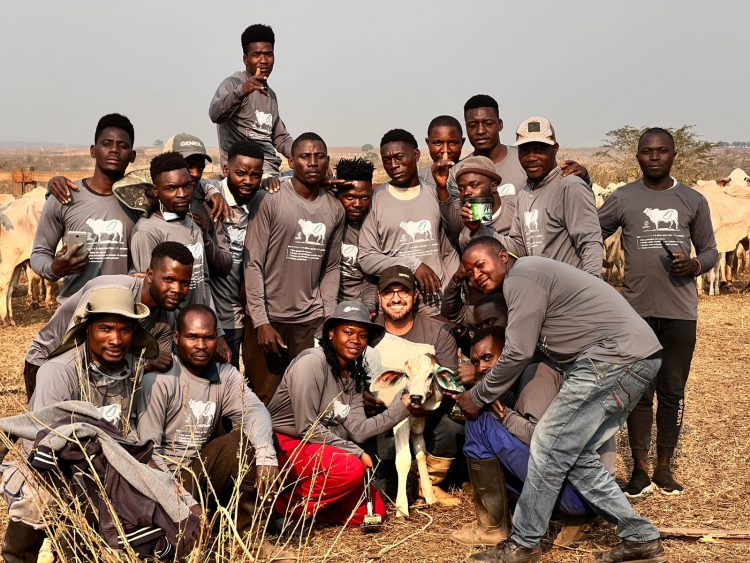 GENEX Conecta chega à Angola com visão 360º da pecuária