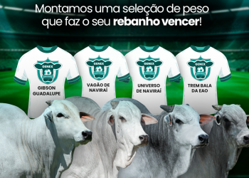 Combo de craques | Uma seleção de peso que vai fazer seu rebanho vencer