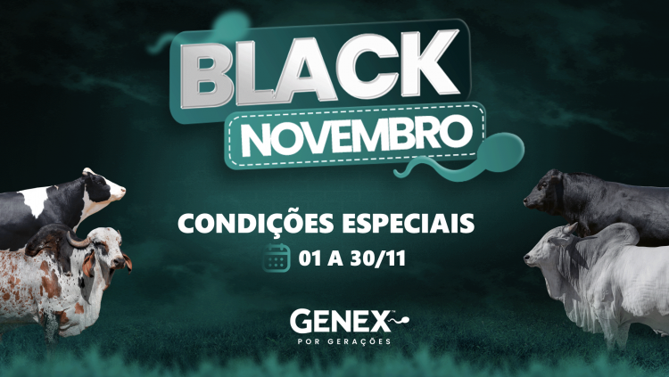 Aproveite as condições imperdíveis da Black Novembro GENEX