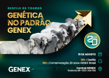 GENEX celebra 20 anos no Brasil com Desfile de Touros durante a Expogenética