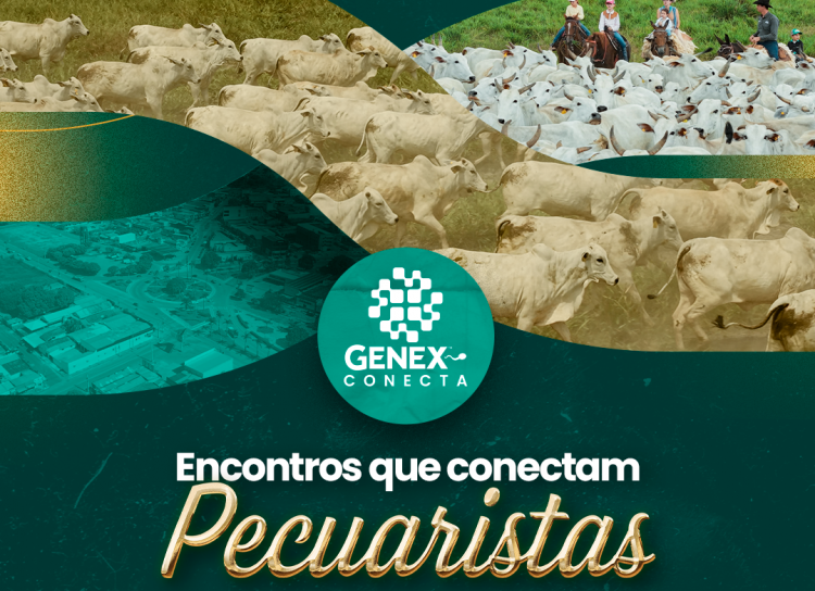 Encontros que Conectam Pecuaristas chega a Paragominas para celebrar a evolução da pecuária paraense